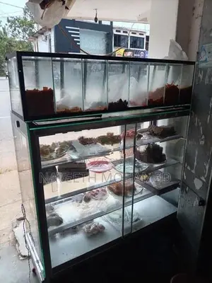 Show Case