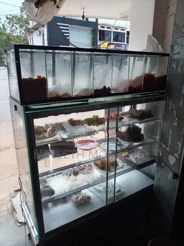 Show Case