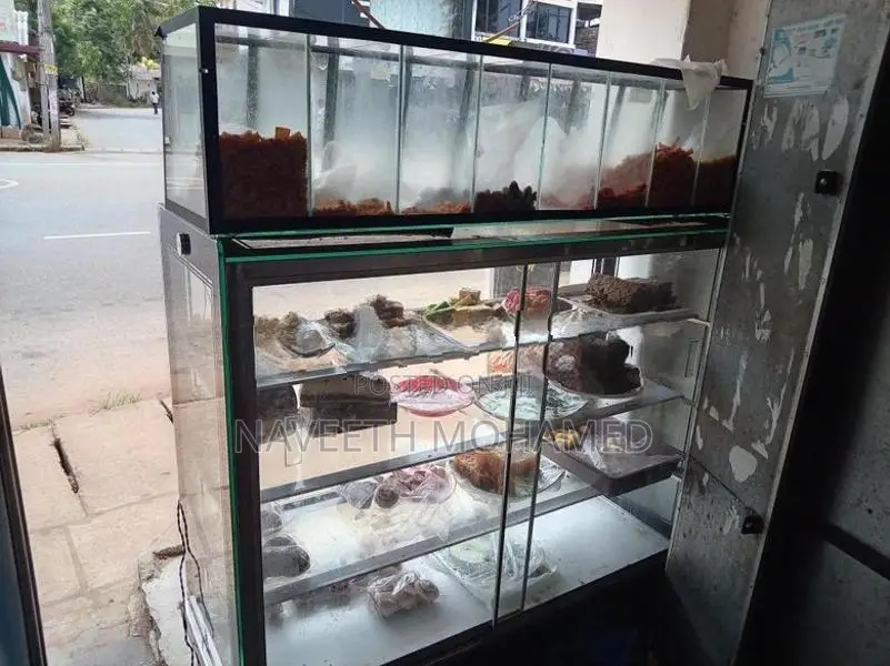 Show Case