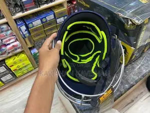 Steel Bird Cricket Helmet
