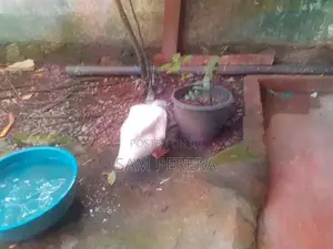 තාරාවා