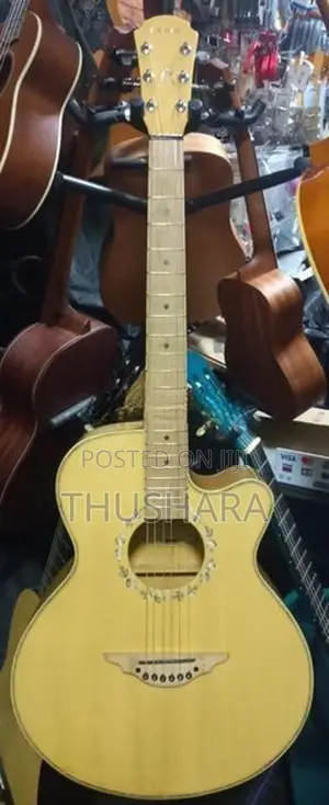 Acoustic Guitar