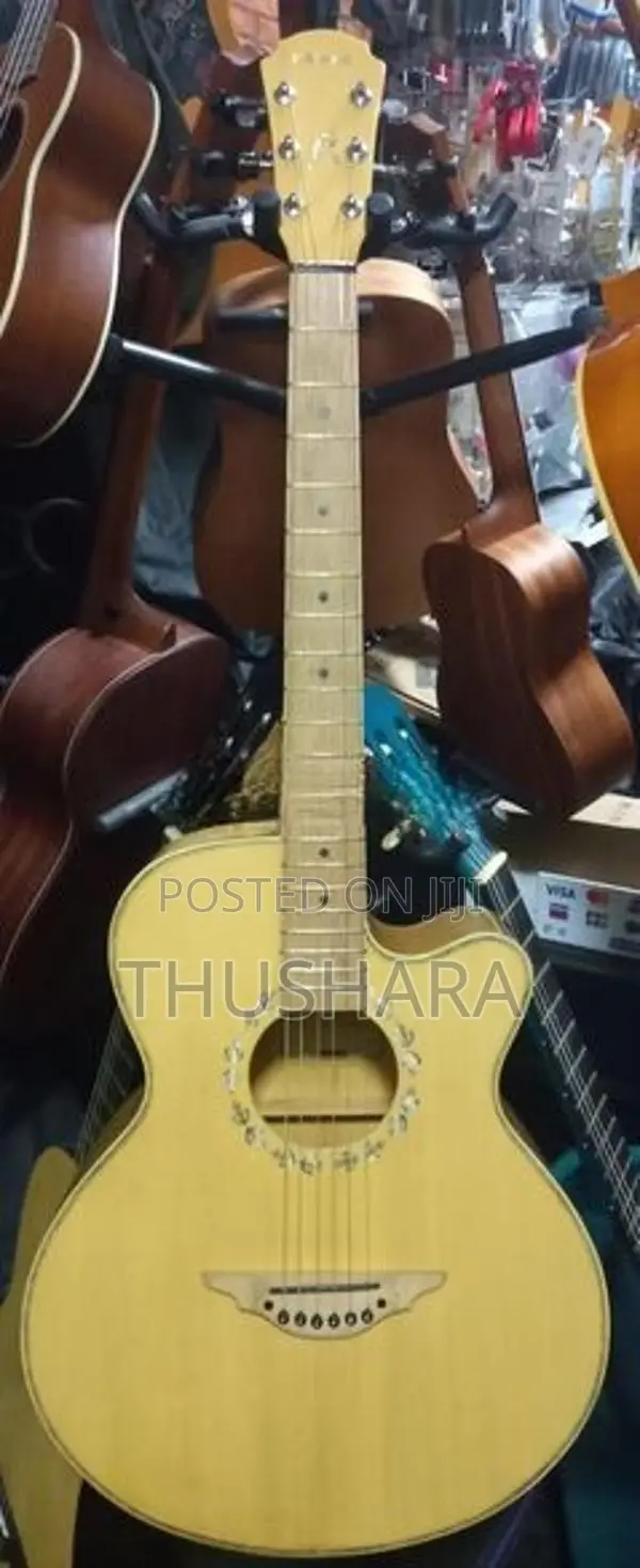 Acoustic Guitar