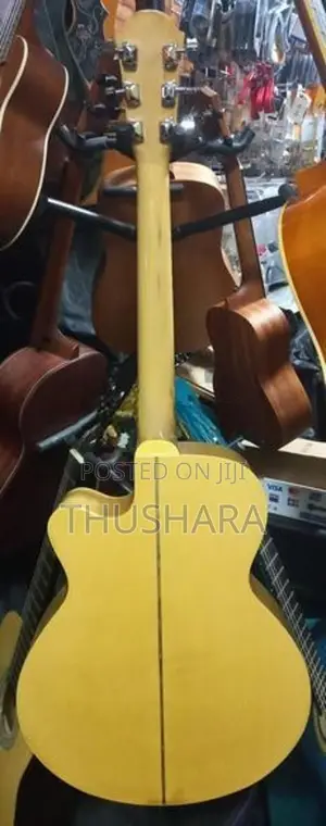 Acoustic Guitar