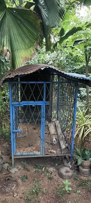 Dog Cage