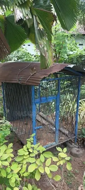 Dog Cage
