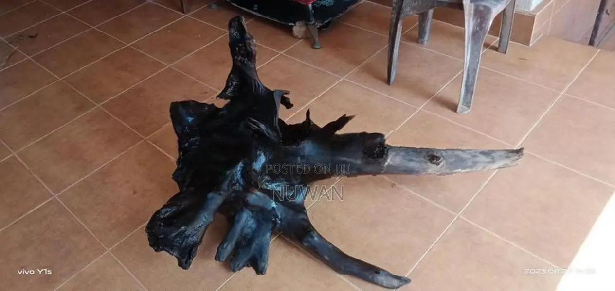 Fish Tank Drift Wood