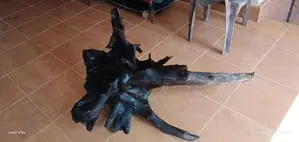 Fish Tank Drift Wood