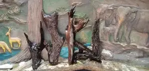 Fish Tank Drift Wood