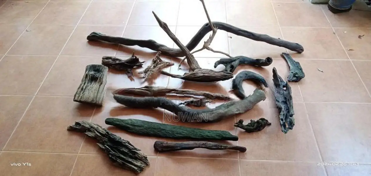 Fish Tank Drift Wood