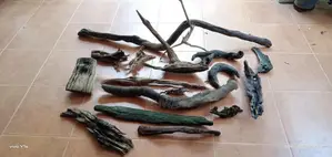 Fish Tank Drift Wood