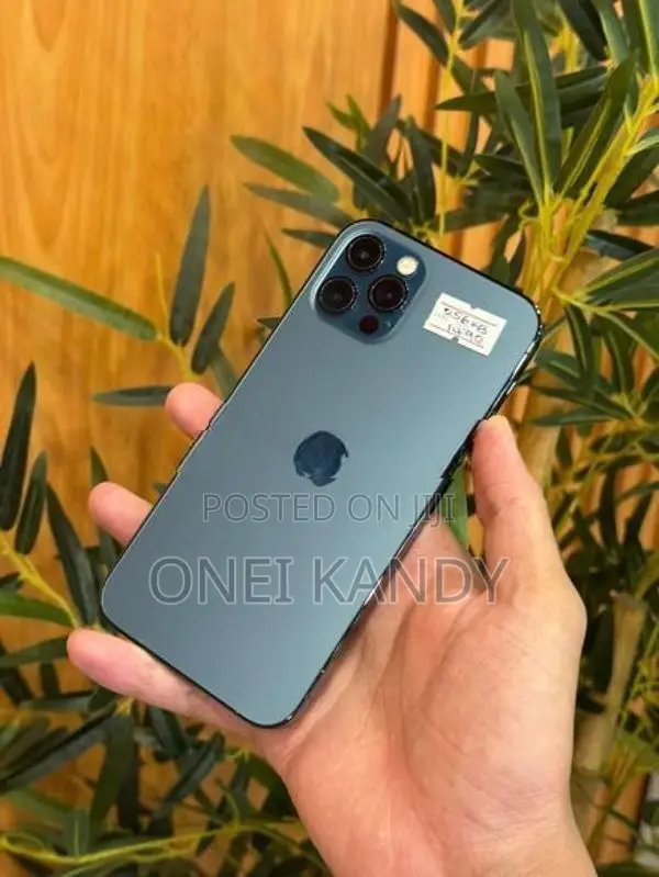 Apple iPhone 12 Pro 256GB (Used)