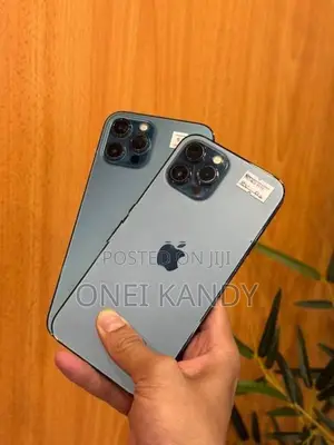 Apple iPhone 12 Pro Max 256GB (Used)
