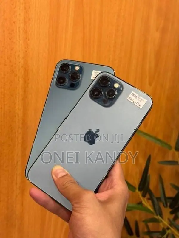 Apple iPhone 12 Pro Max 256GB (Used)