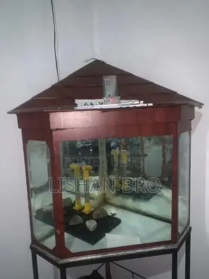 Fish Tank With Stand