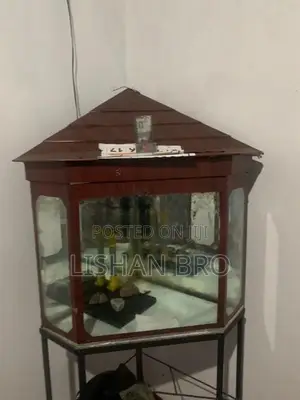 Fish Tank With Stand