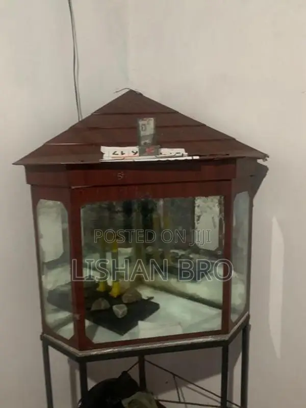 Fish Tank With Stand