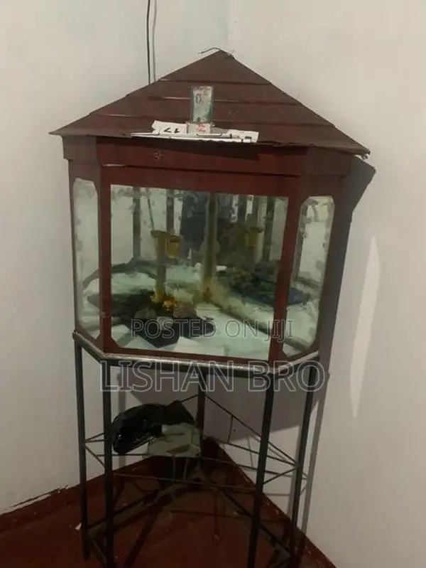 Fish Tank With Stand