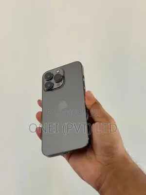Apple iPhone 13 Pro 256GB (Used)