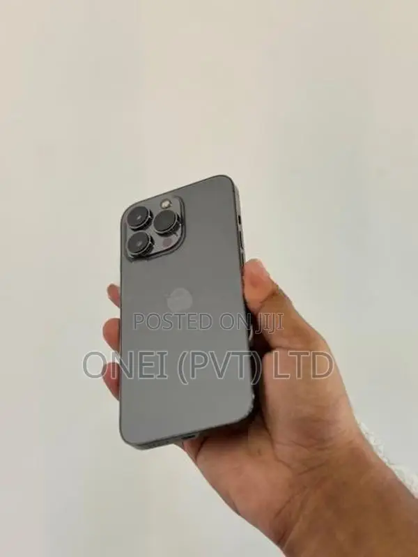 Apple iPhone 13 Pro 256GB (Used)