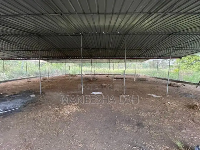 යකඩෙන් සාදන ලද කුකුල් කූඩුවක්