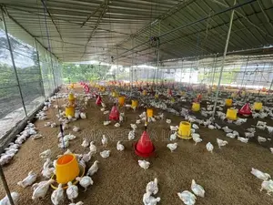 යකඩෙන් සාදන ලද කුකුල් කූඩුවක්