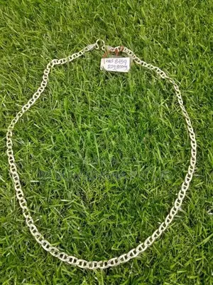 Silver Chain