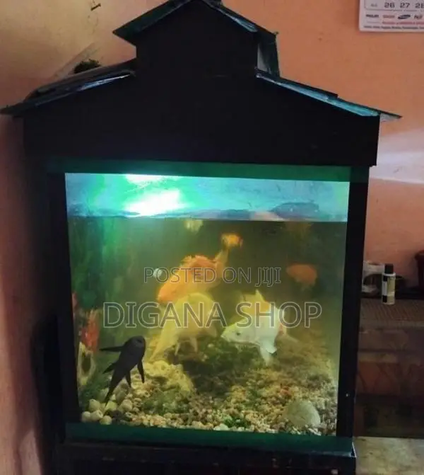 Fish Tank With