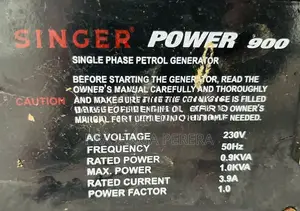 Singer 1KW Generater