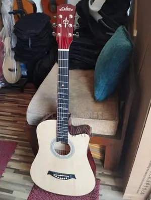 Brand New Acoustic Guitar