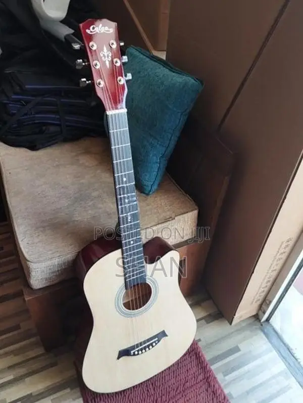 Brand New Acoustic Guitar