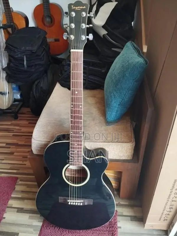 Toyama Japan Acoustic Guitar