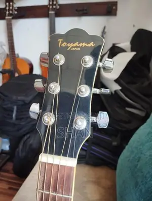 Toyama Japan Acoustic Guitar