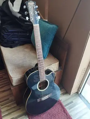 Toyama Japan Acoustic Guitar