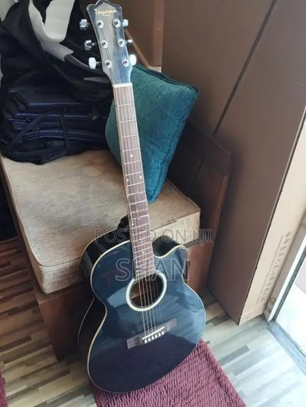Toyama Japan Acoustic Guitar