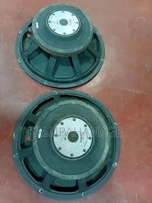 Soundking 15" Speakers