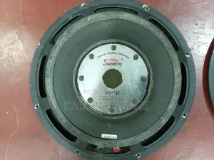 Soundking 15" Speakers