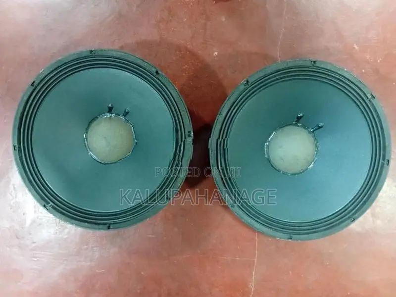 Soundking 15" Speakers