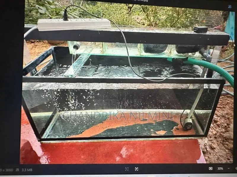 3 Ft Fish Tank With All Accessories