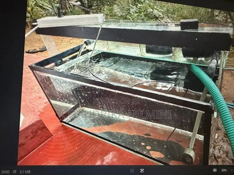 3 Ft Fish Tank With All Accessories