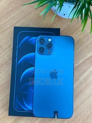 Apple iPhone 12 Pro Max 256GB (Used)