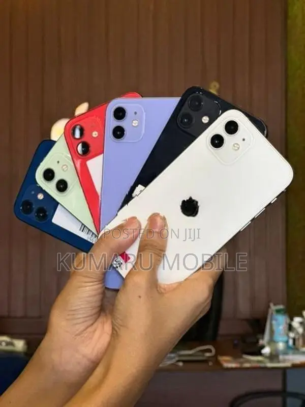 Apple iPhone 12 256GB (Used)