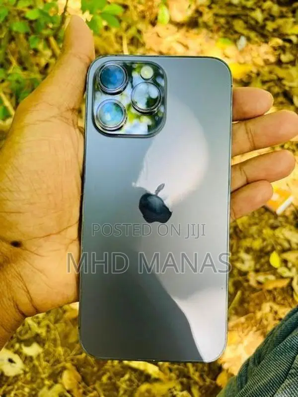 Apple iPhone 14 Pro Max (Used)