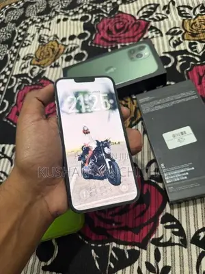 Apple iPhone 13 Pro Max (Used)