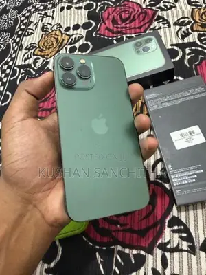 Apple iPhone 13 Pro Max (Used)