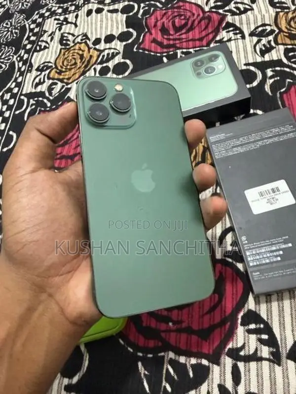 Apple iPhone 13 Pro Max (Used)