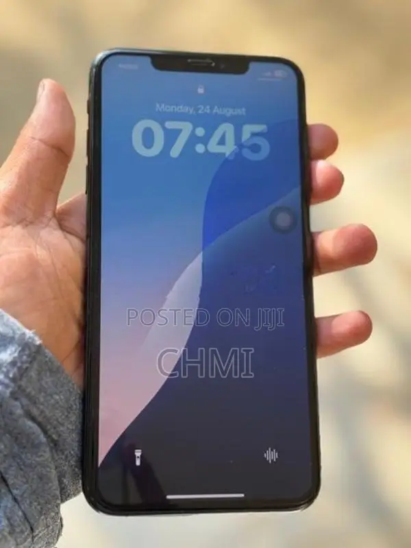 Apple iPhone XS Max (Used)