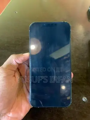 Apple iPhone 13 Pro (Used)