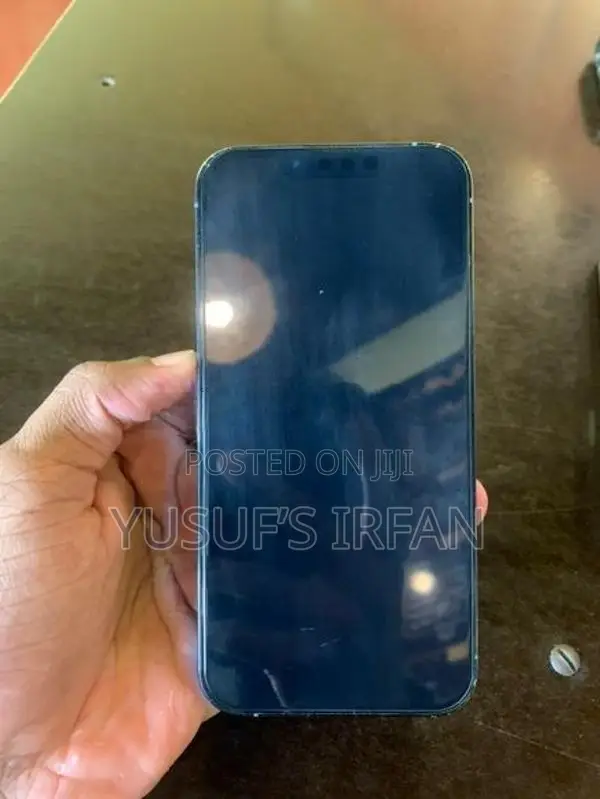 Apple iPhone 13 Pro (Used)