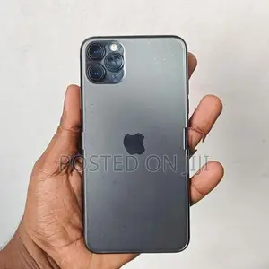 Apple iPhone 11 Pro Max 256GB (Used)